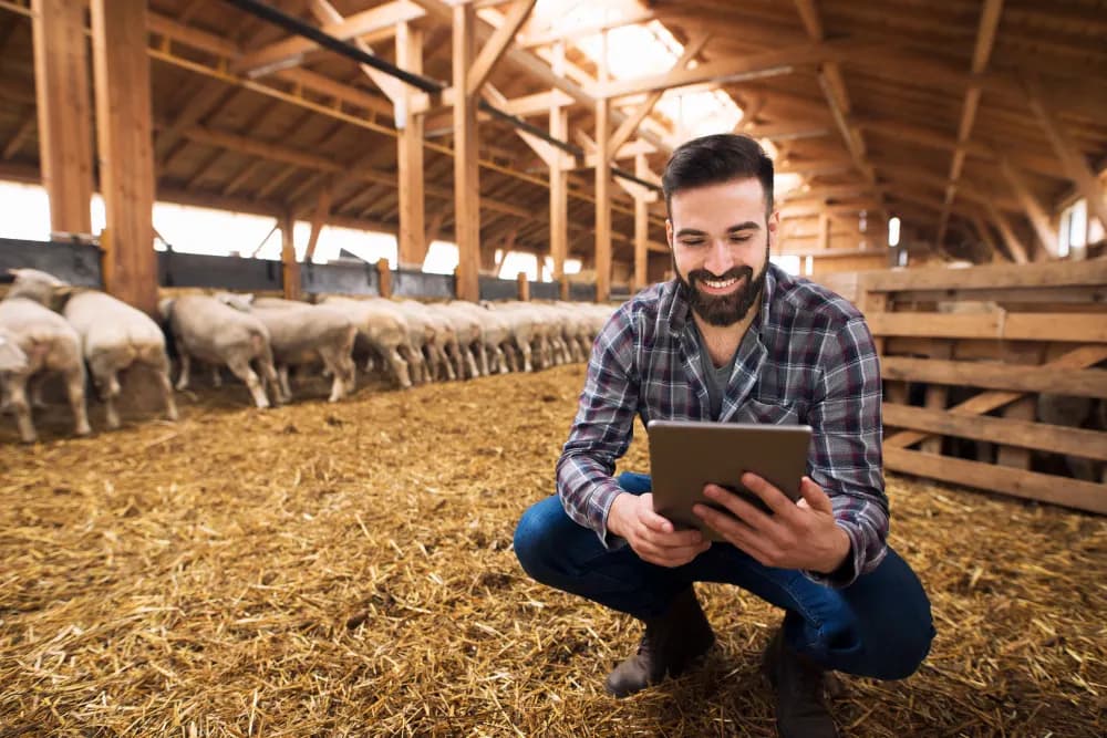 Advogado Agrário: como encontrar o melhor?