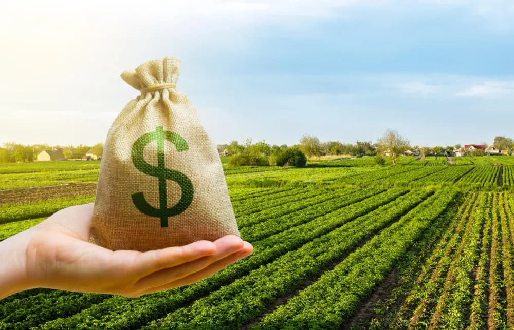 Cédula de crédito rural: entenda o que é