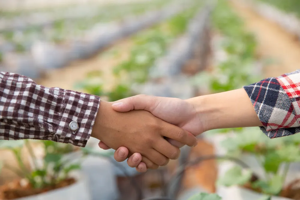 Diferentes modelos de negócio no agronegócio: sociedades, cooperativas e consórcio