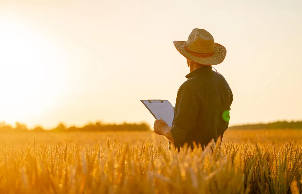 Advogado agrário: como contratar o melhor