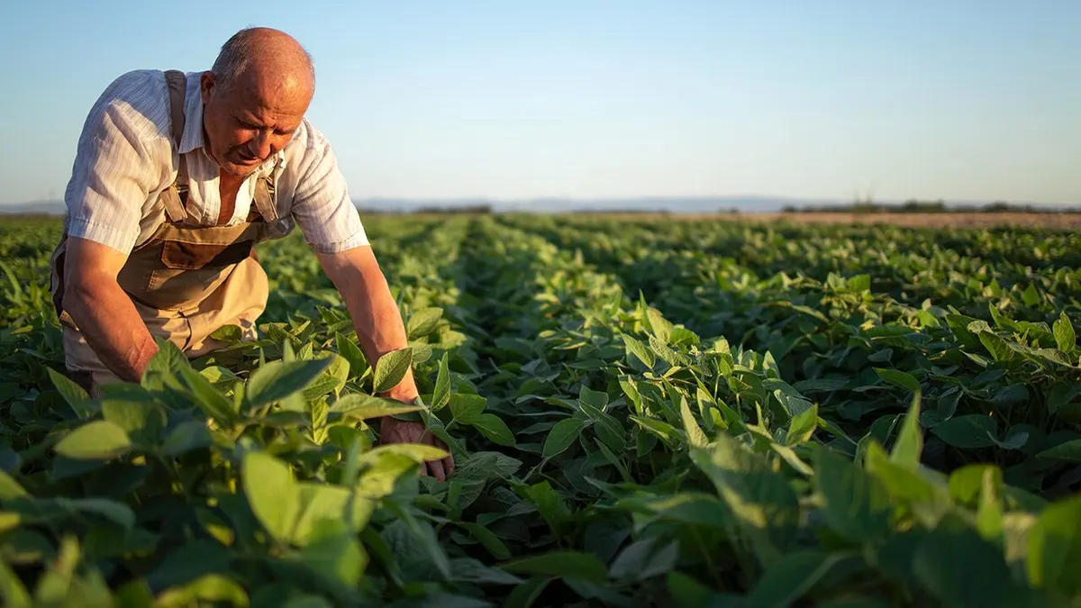 Políticas Agrícolas