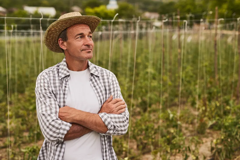 Posso perder a propriedade rural caso não respeite os direitos dos trabalhadores?