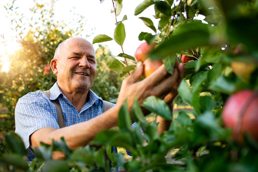 Impacto positivo do agronegócio na economia brasileira